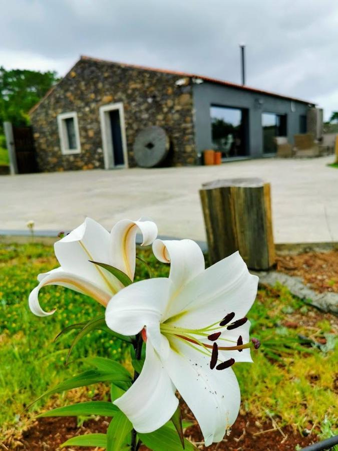 Willa Quinta De Sao Jose Sao Pedro  Zewnętrze zdjęcie