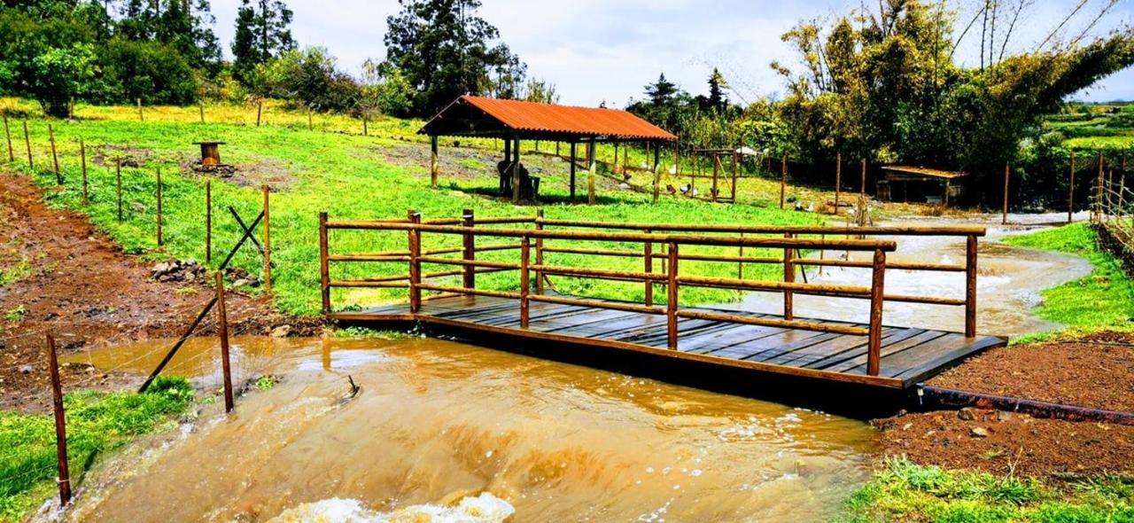 Willa Quinta De Sao Jose Sao Pedro  Zewnętrze zdjęcie