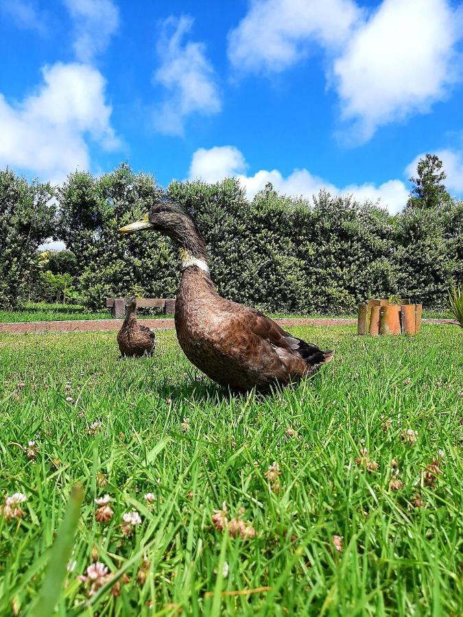 Willa Quinta De Sao Jose Sao Pedro  Zewnętrze zdjęcie
